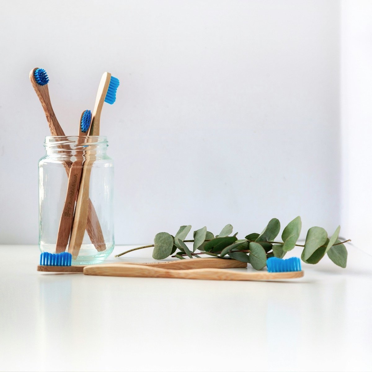 Sustainable Oral Care: A Comprehensive Guide - Bristlo Care