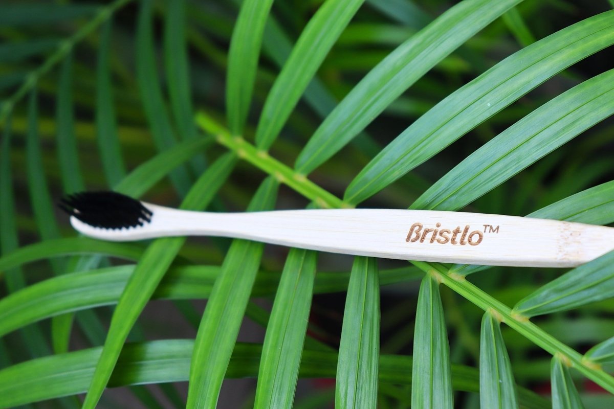 The Impact of Plastic on Our Planet: Why Switching to Eco-Friendly Oral Care Matters - Bristlo Care