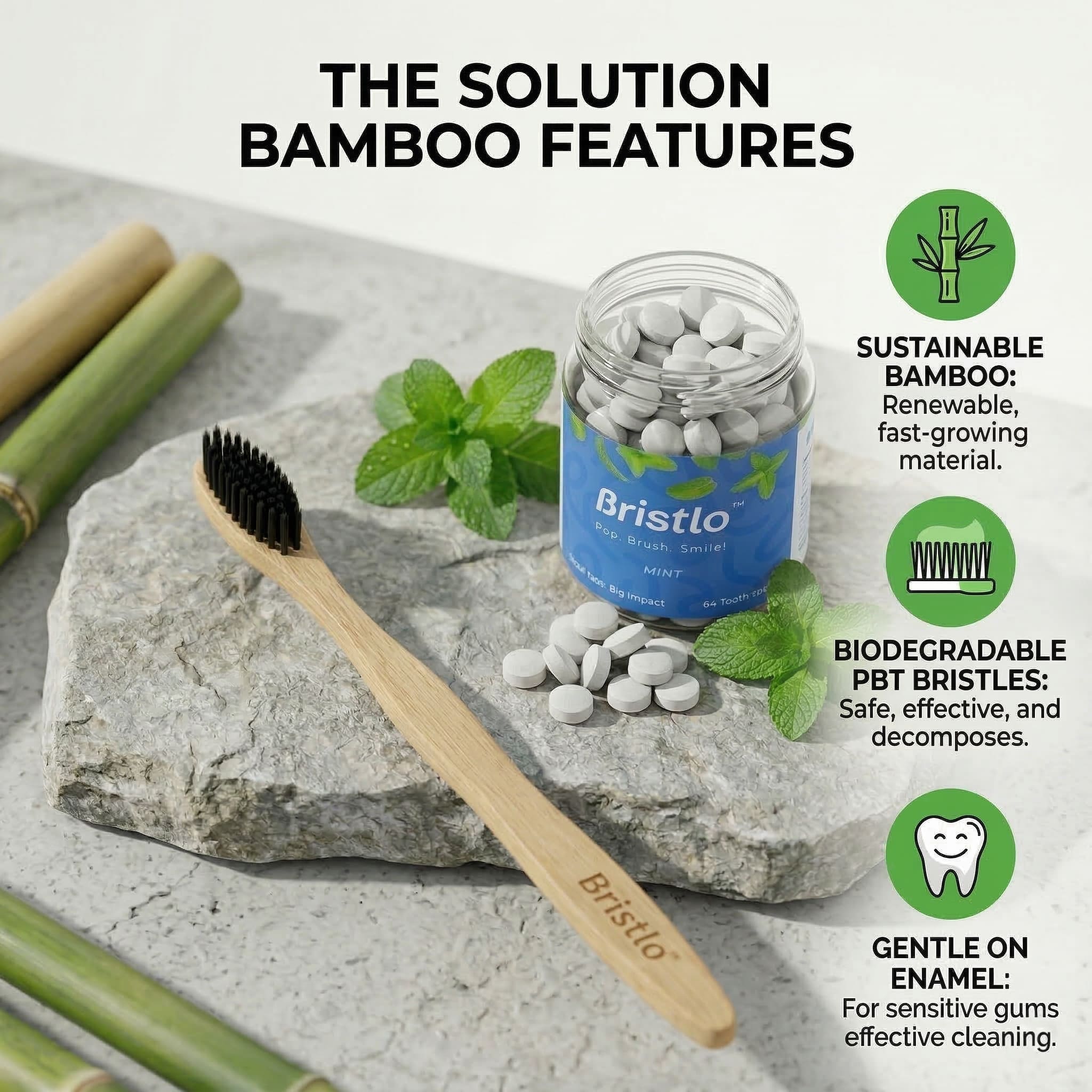 Bamboo Toothbrush | Pack of 2