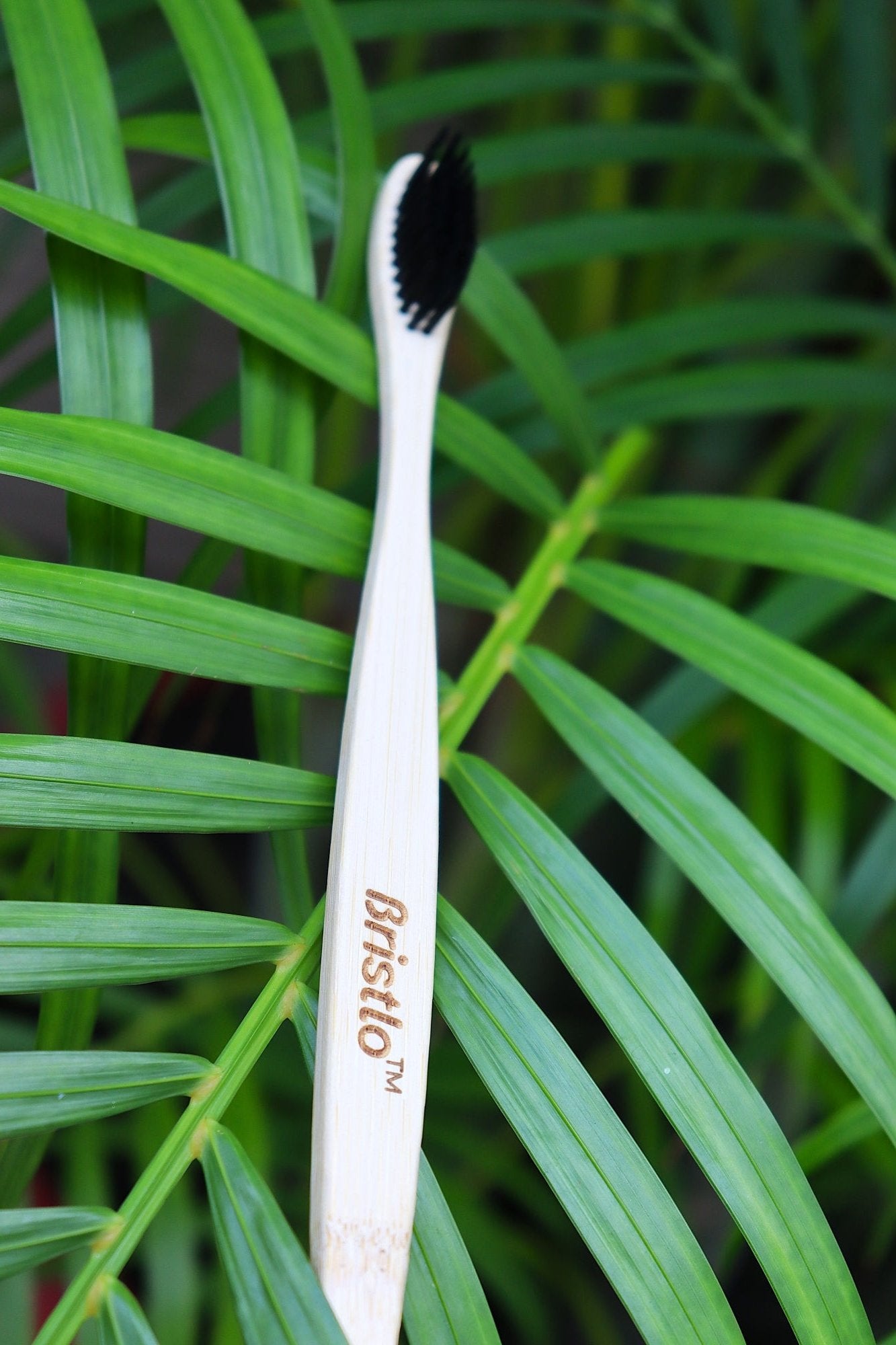 bristlo-bamboo-toothbrush-on-top-of-plant